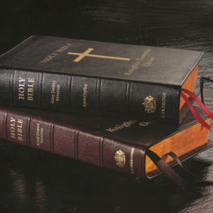 Templar Bible with Apocrypha